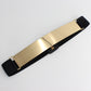 Polished Metal Belt